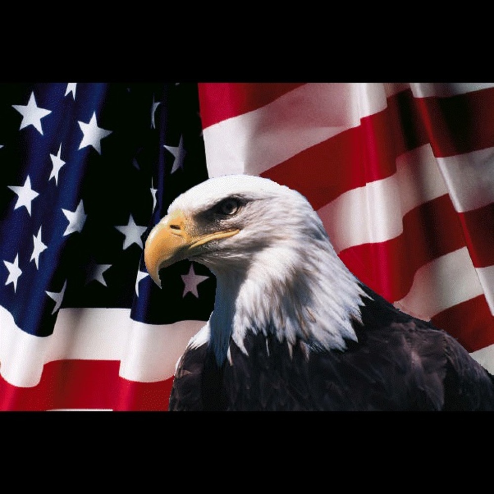 Meet your Posher, Richard